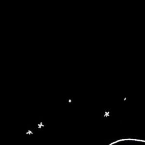 Meet your Posher, Peyton